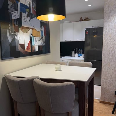 Modern, Cozy Apartment 46m² for Rent, Vračar, Belgrade, Serbia