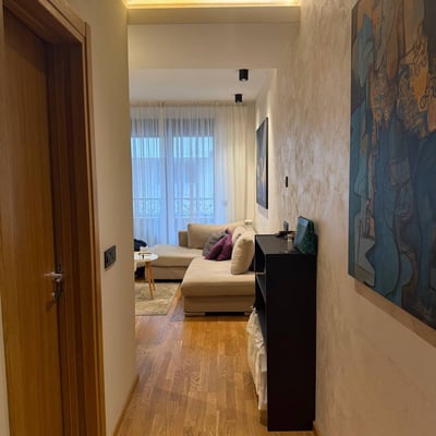 Modern, Cozy Apartment 46m² for Rent, Vračar, Belgrade, Serbia