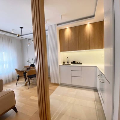 Cozy Apartment 45m² with Terrace for Rent, Vračar, Belgrade, Serbia