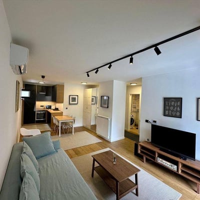 Apartment 54m² for Rent Near City Center, Voždovac, Belgrade, Serbia