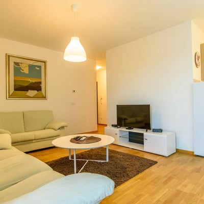 Bright Apartment 55m² for Rent, Vračar, Belgrade, Serbia