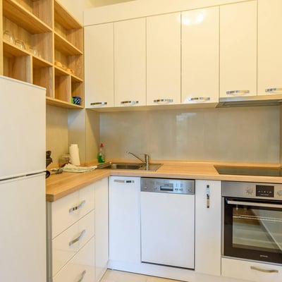 Bright Apartment 55m² for Rent, Vračar, Belgrade, Serbia