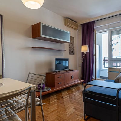 Furnished Apartment 41m² for Rent, Belgrade, Serbia