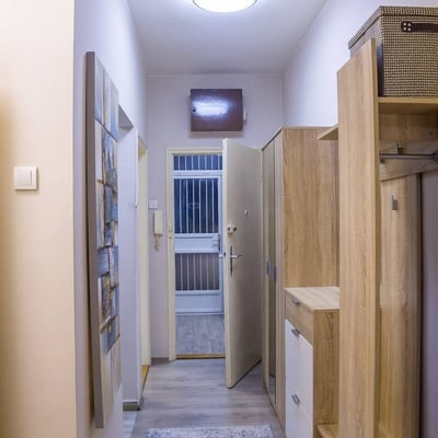 Bright Apartment 43m² for Rent in City Center, Belgrade, Serbia