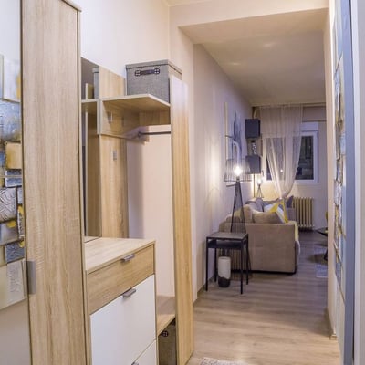 Bright Apartment 43m² for Rent in City Center, Belgrade, Serbia