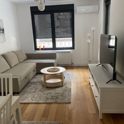 Comfortable Apartment 40m² for Rent in City Center, Belgrade, Serbia