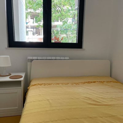 Comfortable Apartment 40m² for Rent in City Center, Belgrade, Serbia