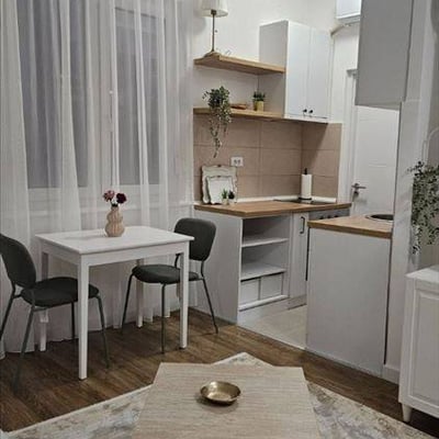 Apartamento acogedor 40m² en alquiler, Vračar, Belgrado, Serbia