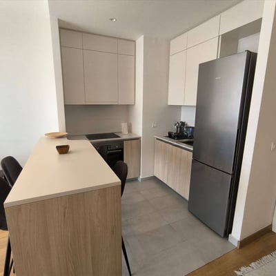 Аренда квартиры 56м² с видом на реку в ЖК BW Vista, Белград, Сербия