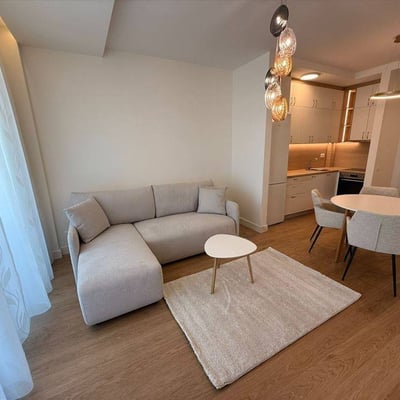 Apartamento nuevo 55m² en alquiler en complejo residencial Soul 64, Nuevo Belgrado, Serbia