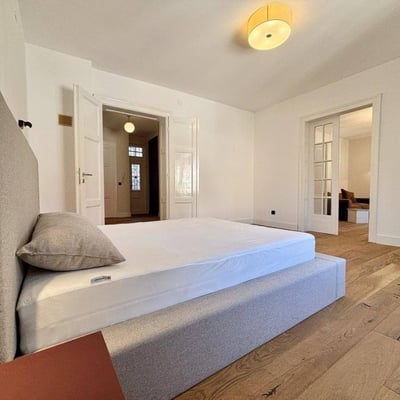 Geräumige und helle Wohnung zur Miete, Vračar, Belgrad, Serbien