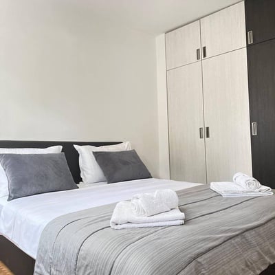 Se alquila apartamento cómodo y amueblado, Vračar, Belgrado, Serbia