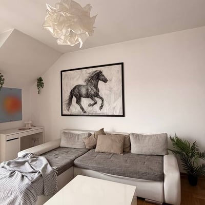 Apartamento luminoso y moderno 50m² en alquiler, Voždovac, Belgrado, Serbia