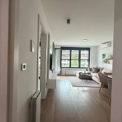Apartamento acogedor 45m² en alquiler en complejo residencial The One, Nuevo Belgrado, Serbia