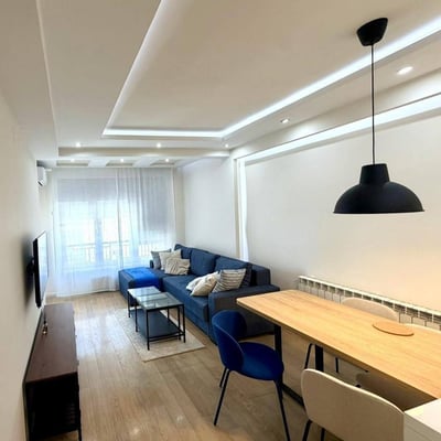 Bright Apartment 45m² for Rent in City Center, Belgrade, Serbia