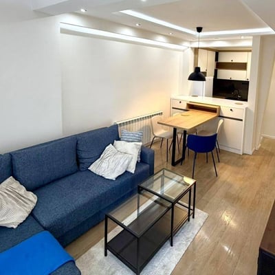 Bright Apartment 45m² for Rent in City Center, Belgrade, Serbia
