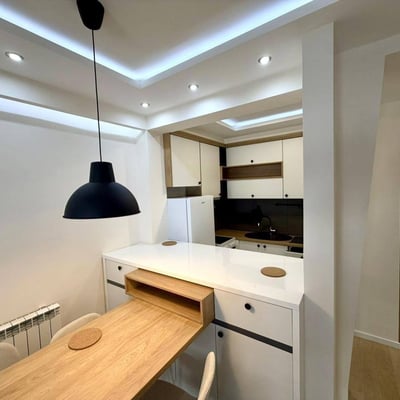 Bright Apartment 45m² for Rent in City Center, Belgrade, Serbia