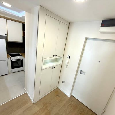 Bright Apartment 45m² for Rent in City Center, Belgrade, Serbia
