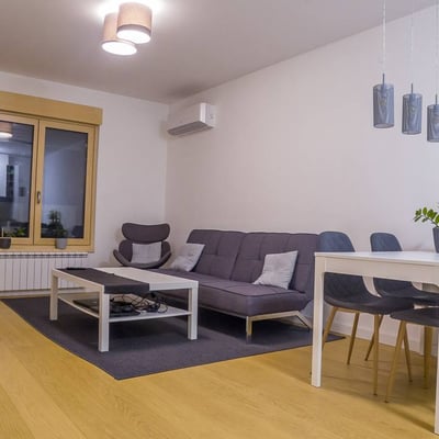 Cozy, Furnished Apartment 42m² for Rent in City Center, Belgrade, Serbia