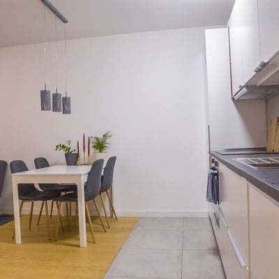 Cozy, Furnished Apartment 42m² for Rent in City Center, Belgrade, Serbia