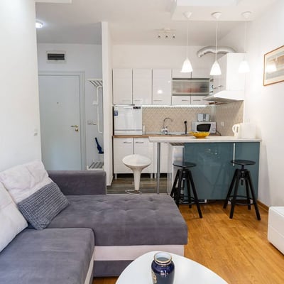 Appartement cosy 45m² à louer au centre-ville, Belgrade, Serbie