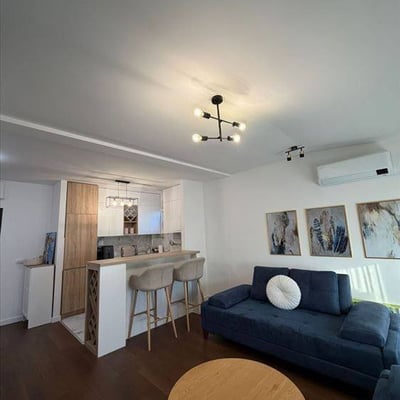 Furnished Apartment Rental 51m² in Vračar, Belgrade, Serbia
