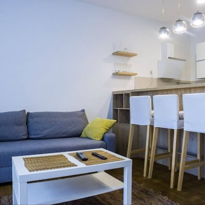 Cozy Apartment 39m² for Rent, Vračar, Belgrade, Serbia