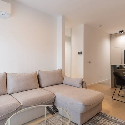 Bright Apartment 50m² for Rent, New Belgrade, Serbia