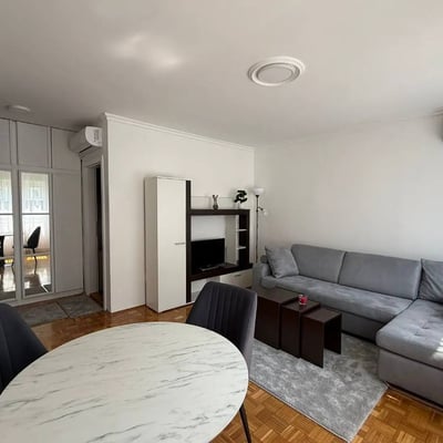 Bright Apartment 46m² for Rent, Vračar, Belgrade, Serbia