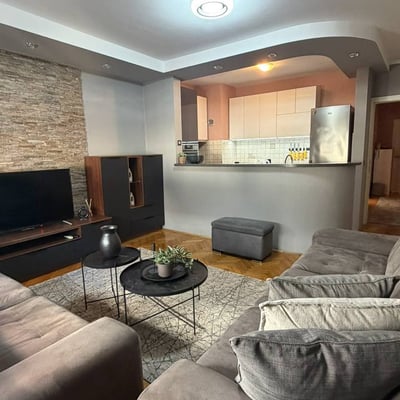 Comfortable Apartment 48m² for Rent in City Center, Belgrade, Serbia