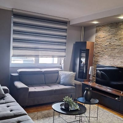 Comfortable Apartment 48m² for Rent in City Center, Belgrade, Serbia