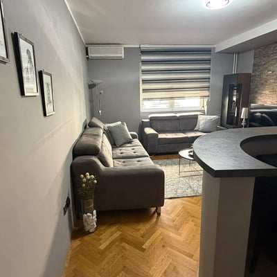 Comfortable Apartment 48m² for Rent in City Center, Belgrade, Serbia