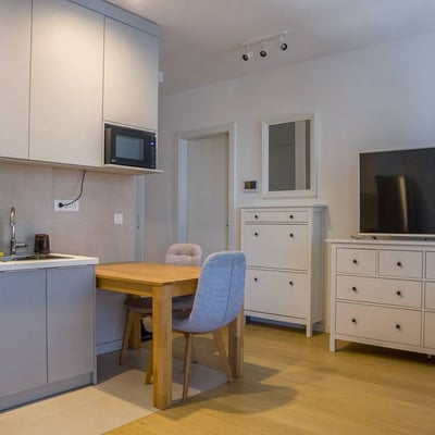 Bright Apartment 40m² for Rent in K-District Residential Complex, Belgrade, Serbia