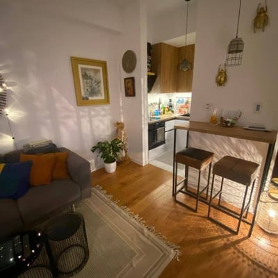 Acogedor apartamento amueblado de dos habitaciones de 46 m² en Senjak, Belgrado, Serbia