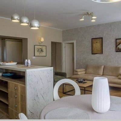 Geräumige 64 m² Wohnung zur Miete in Vračar, Belgrad