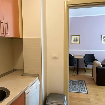 Аренда уютной квартиры 53 м² с видом на Храм Святого Саввы в центре Белграда, Сербия