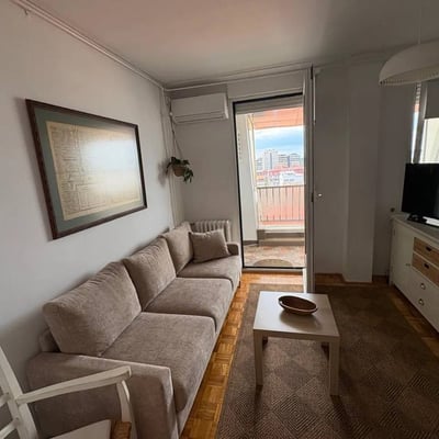 Bright 33 m² apartment for rent in the city center, Belgrade, Serbia