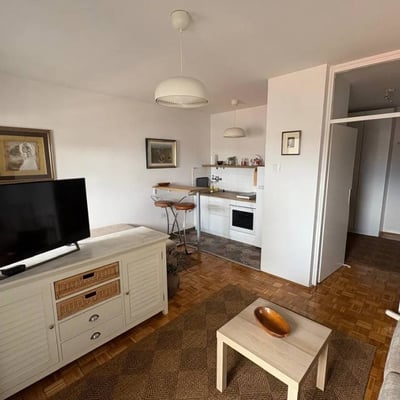 Bright 33 m² apartment for rent in the city center, Belgrade, Serbia