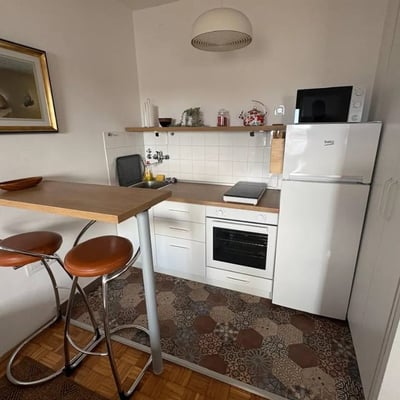 Bright 33 m² apartment for rent in the city center, Belgrade, Serbia