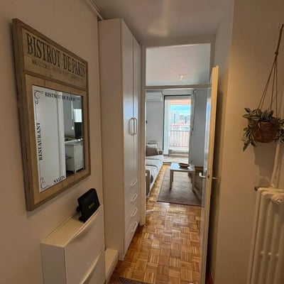 Bright 33 m² apartment for rent in the city center, Belgrade, Serbia