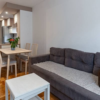 Location d'appartement confortable de 43 m² dans le centre-ville, Belgrade, Serbie