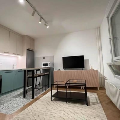 Location de studio lumineux de 30 m², Zvezdara, Belgrade, Serbie