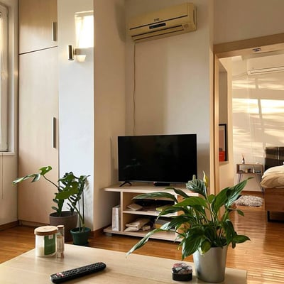 Gemütliches 2-Zimmer-Apartment 50 m² in Vračar, Belgrad, Serbien