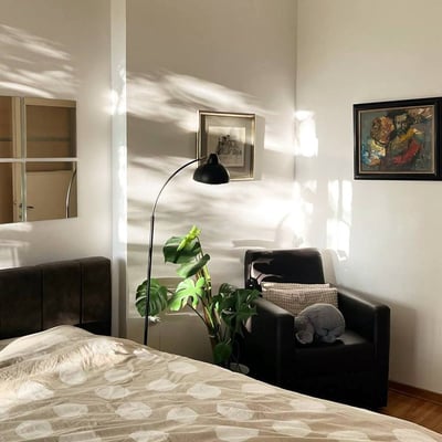 Gemütliches 2-Zimmer-Apartment 50 m² in Vračar, Belgrad, Serbien