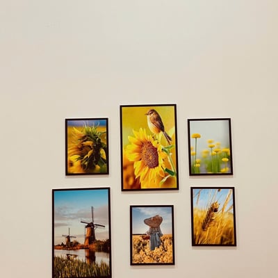 Аренда просторной, меблированной квартиры, Нгу Хань Сон, Дананг, Вьетнам