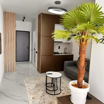 Modern, furnished studio for rent, 33 m², Batumi, Georgia