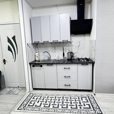 Bright, furnished apartment for rent, 44 m², Batumi, Georgia