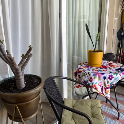 Location d'un appartement confortable, 56 m², Batumi, Géorgie