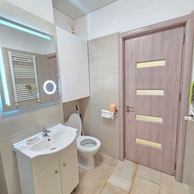 Rent of a furnished one-room apartment, Bucharest, Sector 6, Romania