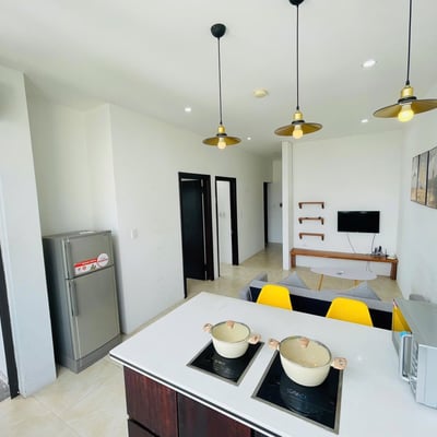 Rental of a bright, modern apartment, Da Nang, Vietnam